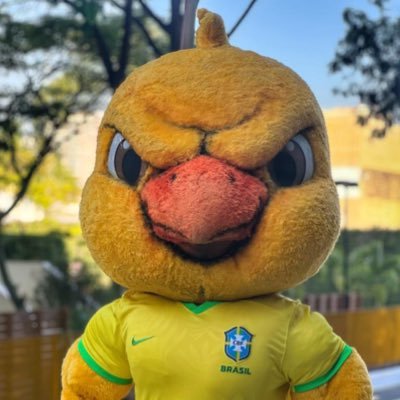 O mascote mais resenha do Brasil. Me chama lá no zap 🤙🐤