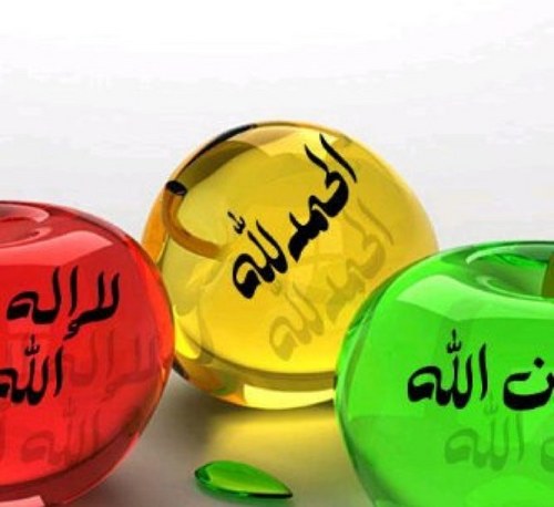 alameri45's profile picture. 