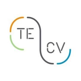 tecvSA's profile picture. Trações Elétricas de Cabo Verde 
| Concessionária da Infraestrutura de Recarga Nacional para veículos elétricos