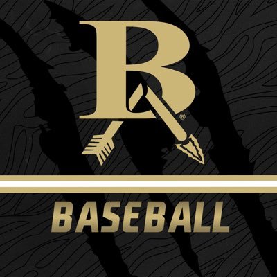 Batigerbaseball Profile Picture