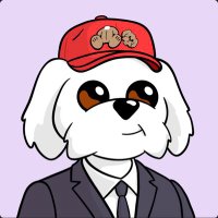 €$$𝕴 (@essidxb) 's Twitter Profile