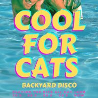 COOL FOR CATS (@cool_4_cats) 's Twitter Profile