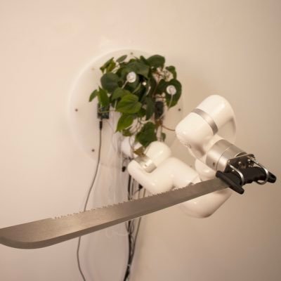 PlantCQC's profile picture. He’s on the app for an amazing reason