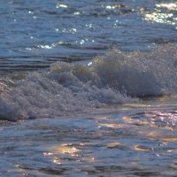 شـوق (@i_s1z) Twitter profile photo