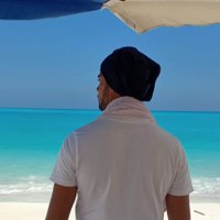 Linguini🇾🇪🇵🇸🇪🇬 (@loma858) 's Twitter Profile