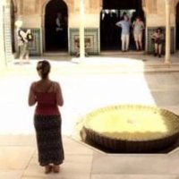 ingrid de groot (@ingriddegroott) 's Twitter Profile