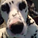 Carmen McGee - @fireunderwater - Twitter