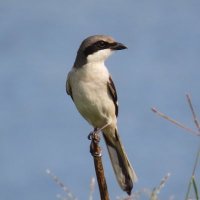 靴底 (@sole92zo5) Twitter profile photo