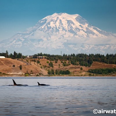 26.5 cubic miles of water.....pure sexy. Admirer of other curvy bodies of water. Love slave to the moon. Parent to smartest pet ever, Orca.