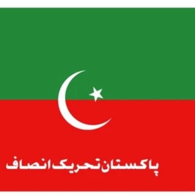 HassamNuman's profile picture. #امپورٹڈ_حکومت_نامنظور