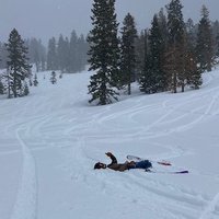 Rayna Harris PhD (@raynamharris) 's Twitter Profile