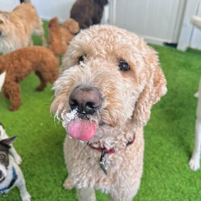 LauraJGarner's profile picture. 