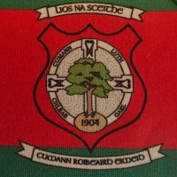 Lisnaskea Emmet's CLG(@LisnaskeaEmmets) 's Twitter Profile Photo