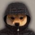 Aiden Biju (@biju_aiden48115) Twitter profile photo Aiden Biju (@biju_aiden48115) Twitter profile photo