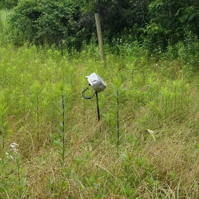 くらぎりさんのプロフィール画像