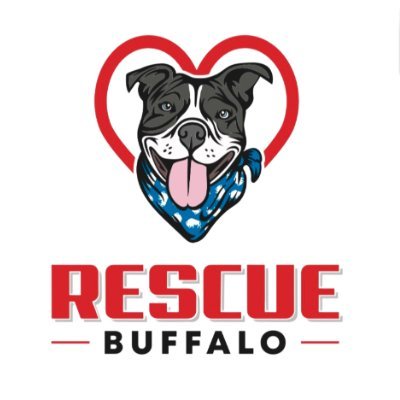 Rescue Buffalo Inc is a registered public charity recognized with the IRS under section 501(c)(3).