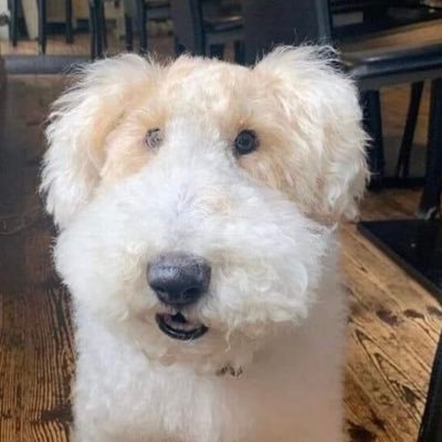 Comentarista/Apresentador Cazé TV. Um d'Aqueles Caras. Streamer parceiro da Twitch. Amo cachorros.
Contato: guilherme.mbeltrao@gmail.com
