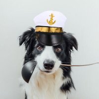 row.eth (@0xrow) 's Twitter Profile