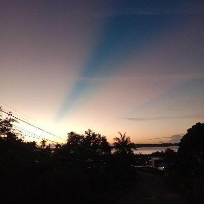 Vlad2064318's profile picture. 