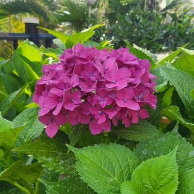 ljotop7's profile picture. 