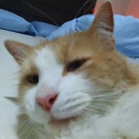 onob (@onob_val) 's Twitter Profile Photo onob (@onob_val) 's Twitter Profile Photo