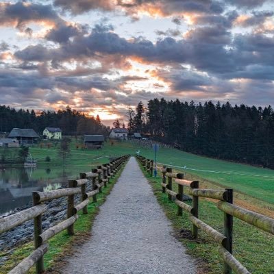 dantheman2031's profile picture. I believe node cryptocurrency and NFT's are the future of finance will be inside the blockchain.