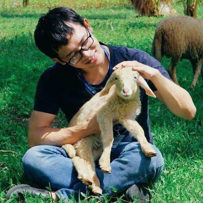 thanhsonvu26's profile picture.