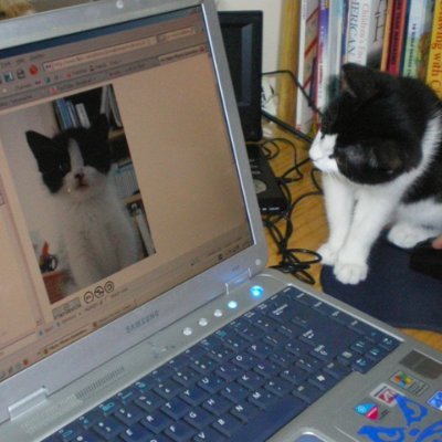 TevitoDEV's profile picture. coisas de computador e estudos em geral
2006
PT/ENG