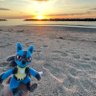 shinylucario_UM's profile picture. 無言フォロー失礼します。気軽に絡んでください。主に色厳選。ポケマス、ポケGO青TL50、フレンド募集中です。