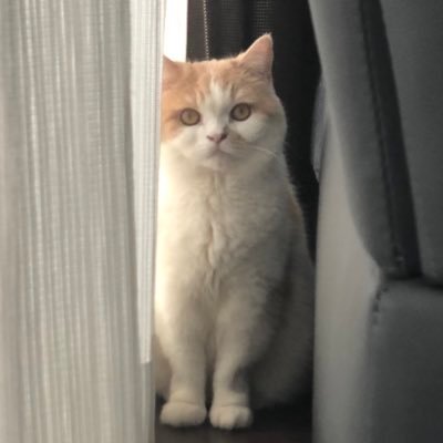 momo1530889's profile picture. デザインやエンジニアリングについて勉強中です。勉強に関係のないこともつぶやきます。