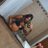 Palorodriguez33's profile image