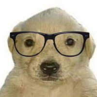 ๐ฟ๐๐๐๐ ๐พ๐๐ฝ๐๐๐๐ผยฎ (@cebolladiego) 's Twitter Profile
