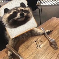 β bread π»πΉ (@breadisgood0) 's Twitter Profile