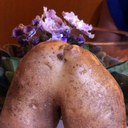 Nancy Ehrman - @NancyEhrman - Twitter