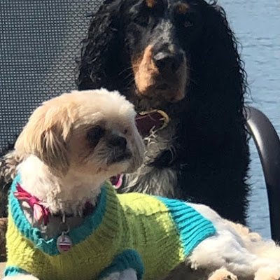 nitamedeir81922's profile picture. 