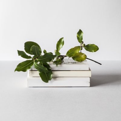 Tf_Daniya's profile picture. A✨