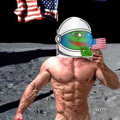 chadvondon's profile picture. Average Chad Hominem enjoyer. High T Autistocrat. Take the based pill, bro.