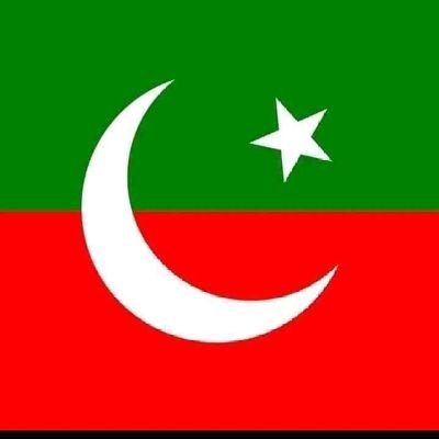 social media worker PTI Pk 75