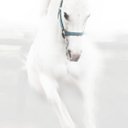 Trish Dobson - @DobsonTrish - Twitter