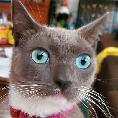 AmandaCastle63's profile picture. 