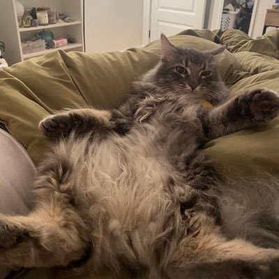 queef57's profile picture. 