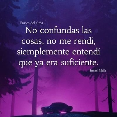 xinef32's profile picture. Silencio