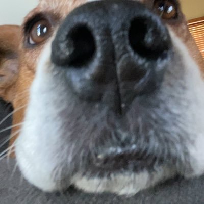 GianfrancoLux's profile picture. 