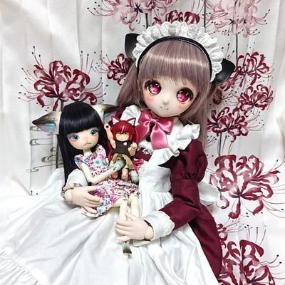 ドール／アクションフィギュア／プラモ（DD～MDD、オビツ11、みすきちみにきち、DTAなど）あとロマサガRS／アリスギア好き。写真アップ頻度低め、RT多め。プラモはほぼ素組み、たまに塗装とデカール。リハビリしてまたドール服縫いたい！！ （ポスト、リポストなどの独裁語は存在しない派）