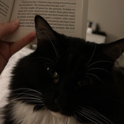 muddscamp's profile picture. 