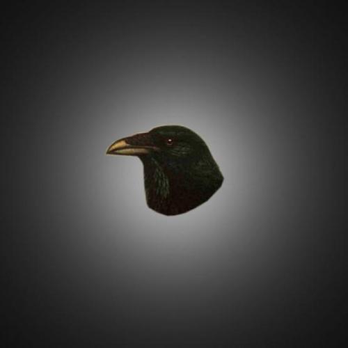 postrockbeyond's profile picture. The bot for the turntable.fm room Post-Rock & Beyond.  Come visit us at: http://t.co/Xw5mP4PAFQ