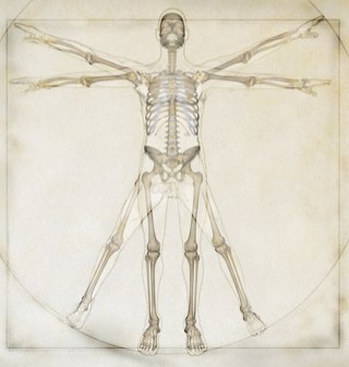 unclechutney's profile picture. An aussie in london. consulting in renewable energy, CCS and general good management. But mostly just pics of my cats!