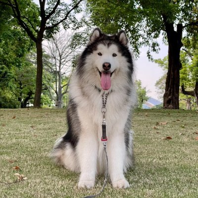 ThanhThai53242's profile picture. There is no doubt that nature determines our natural physical characteristics such as eye color, hair color, height and weight. But when it comes to how we inte