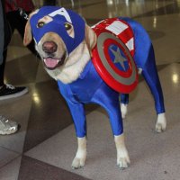 กัปตันโบ้ 🐶 (@cjscarychicken) 's Twitter Profile Photo กัปตันโบ้ 🐶 (@cjscarychicken) 's Twitter Profile Photo
