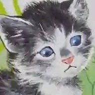 mastolive1's profile picture. he loves butterflies, i don't